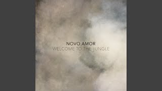 Welcome to the Jungle