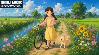 【Relaxing Ghibli】ジブリメドレーピアノ💖 美しい2時間のスタジオジブリ音楽 🔔 ジブリ史上最高のリラックス BGM🔱魔女の宅急便, となりのトトロ, 千と千尋の神隠し, 崖の上のポニョ