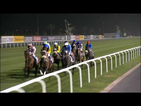 Race 8 - Dubai Sheema Classic Presented By Longines