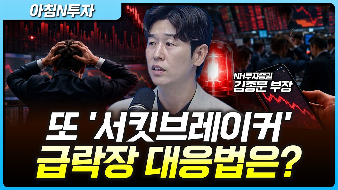 비이성적인 급락장…대응 전략은? | 김종문, 이창휘, 여도은, 허재무 [아침N투자]