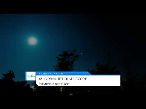 65. Gjynahet djallëzore - Lexime nga libri: ''Sëmundja dhe ilaçi''