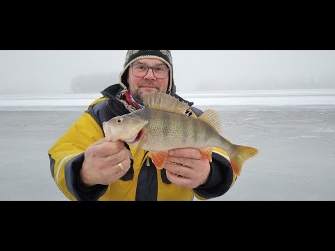 podlodowy grudzień 2021