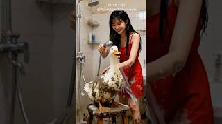 Plot twist #funny #funnycats #cat #cute #pets #amercia #animation #animals