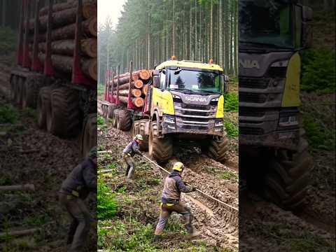 Scania Atoleiro Deixou Ser Problema #caminhão #truck