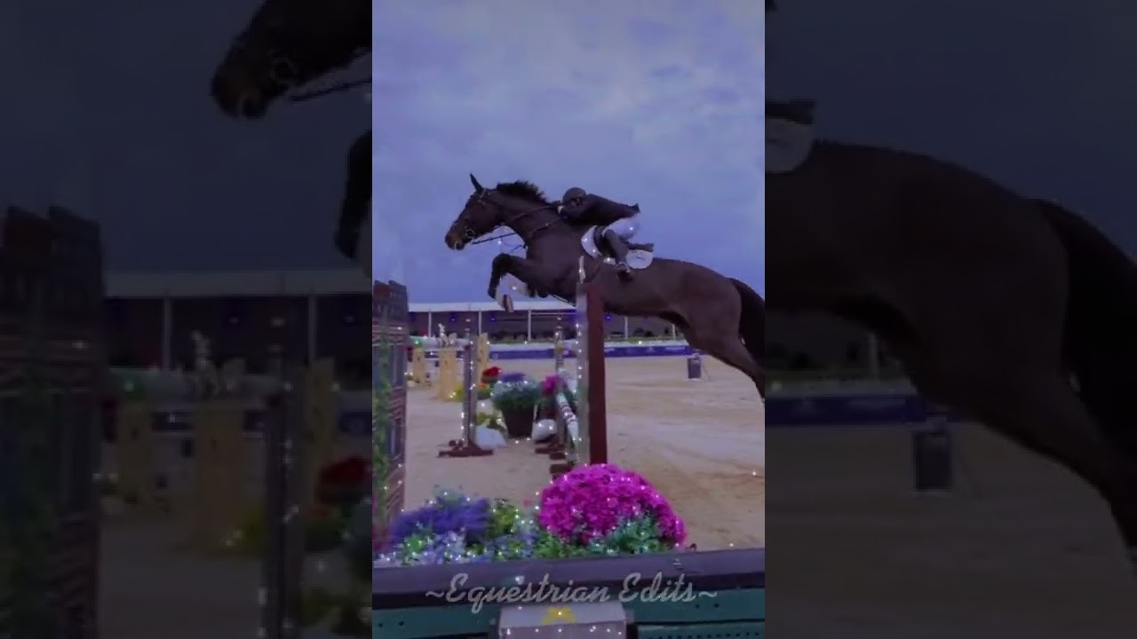 Show Jumping!🤩♥️ #horses #shorts #showjumping #trending #horsejumping #horseriding