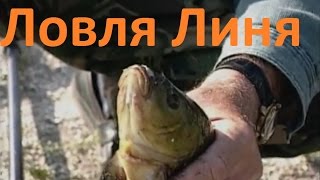 Кто ведет диалоги о рыбалки