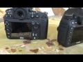 Vergleich - Nikon D800 vs. Canon 5D Mark III ...