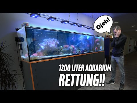 1200 Liter Saltwater Aquarium RESCUE!! - Part 1 | PlanktonPlus Aquatics