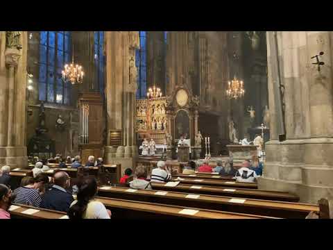 Sonnengesang des Hl. Franziskus