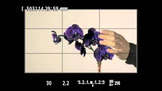 Canon EOS 6D Basic Video Operation