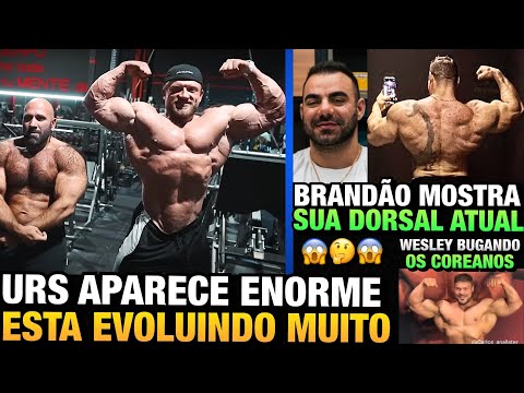 URS APARECE ENORME E SECO e BRANDÃO MOSTRA DORSAL ATUAL GIGANTE + WESLEY BUGANDO COREANOS
