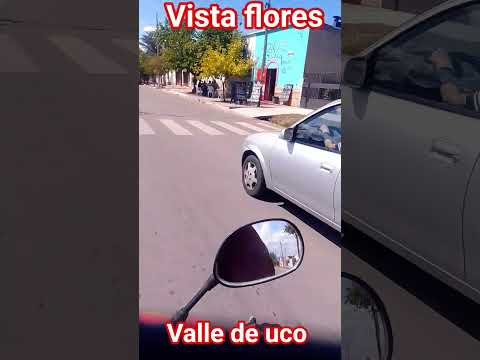 vista flores valle de uco Mendoza