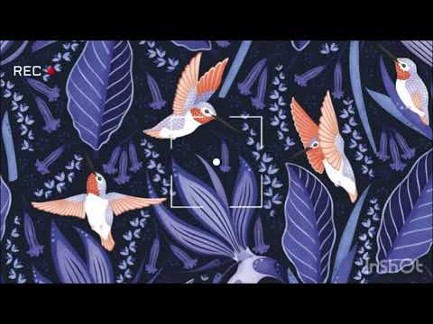 METRO BOOMIN - HUMMINGBIRD (FEAT. JAMES BLAKE) (432Hz)