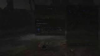 [MHWilds]自分記録用301