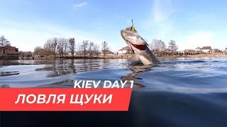 Клев щуки на завтра киев