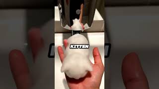 He Turned On The Faucet And THIS Happened... 😱😻 