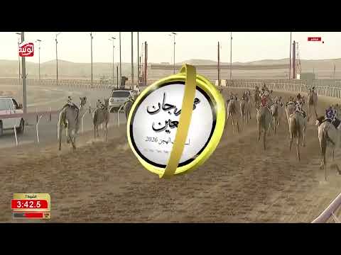 ش 7 (شاهين) لـ محمد عبدالله بن محيروم المحرمي 6:10:19 ، مهرجان العين 2026/09/15 إيذاع الروضة