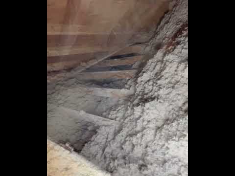 TruSoft Cellulose Improves R-Value in Bay Village, OH