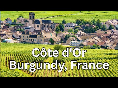 A Wine Lover's Dream Trip in Burgundy's Côte d'Or