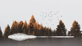 Download lagu MASTERAN KENARI, KAPAS TEMBAK JEDA SUARA AIR mp3