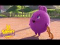 Cartoons For Children SUNNY BUNNIES MAGIC CARPET Funny Cartoons For Children