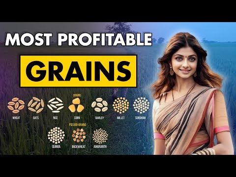, title : 'Most Profitable Grain Farming Businesses | Different types of Grains | Agriculture Business Ideas'