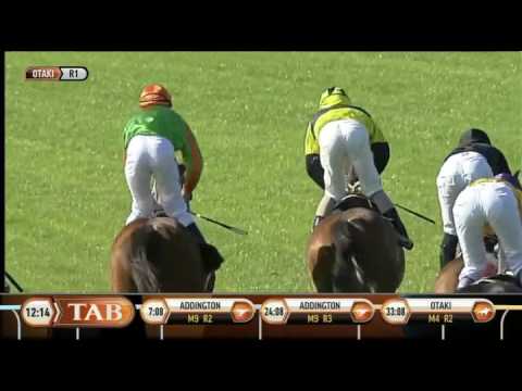 Nippin - Otaki Races