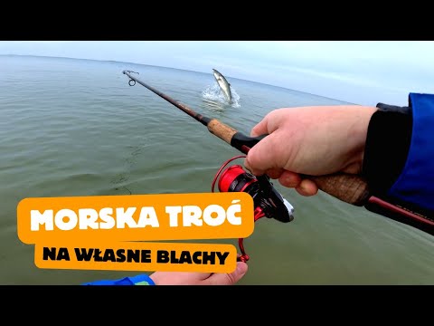 UDAŁO SIĘ !!! | Połowiłem MORSKIE TROCIE na własne blachy