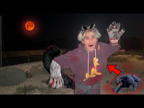 VINCI SI TRASFORMA IN UN LUPO MANNARO DI NOTTE!!! 😰 *c’è la luna piena*