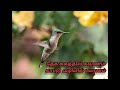Ilamai Enum Poongatru Whatsapp Status