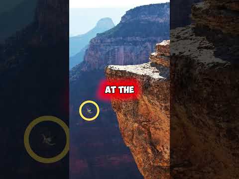 A 35-year-old man FELL from the edge of GRAND CANYON #shorts