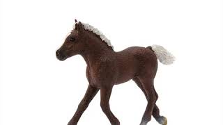 Schleich Žriebä Schwarzwaldské