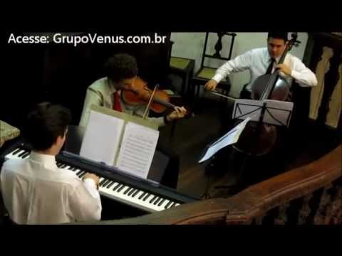 Memory Cats - Violino, Piano, Cello - Música de Casamento Entrada dos Pais na Igreja - Grupo Vênus