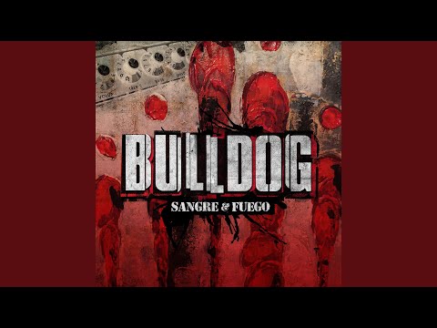 Templanza - Bulldog