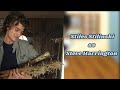 Teen Wolf Characters React To Stiles As Steve Harrington Read Desc