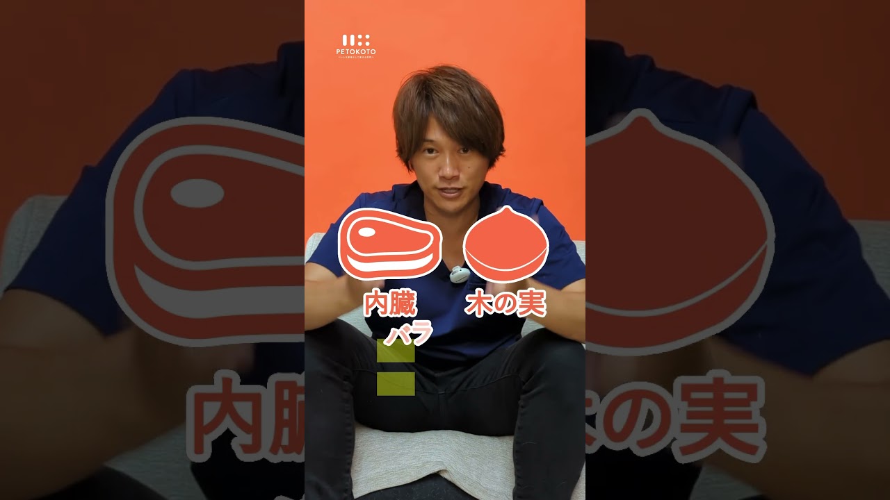 犬って生肉食べても大丈夫？