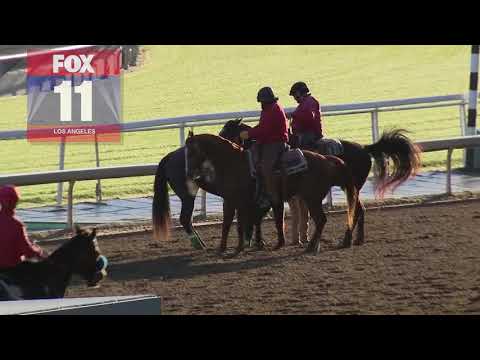 22nd horse dies at Santa Anita Park after track declared safe