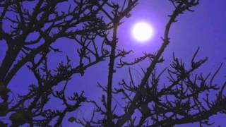 MoonSong -APACHULA- Tree Of Life