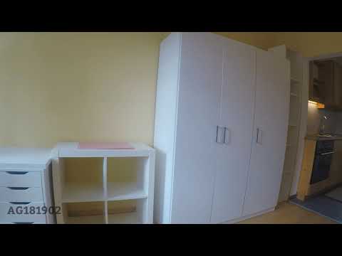 WI-181902 - Möbliertes Apartment mit Gartennutzung in Wiesbaden-Bierstadt