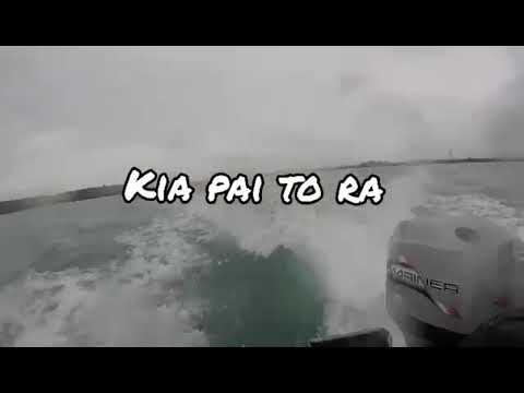 Kina diving in Auckland