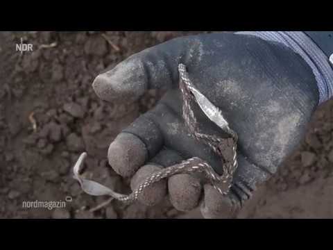 Wikingerschatz auf Rügen gefunden