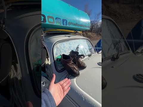 Cosas extrañas en la ruta de Neuquén