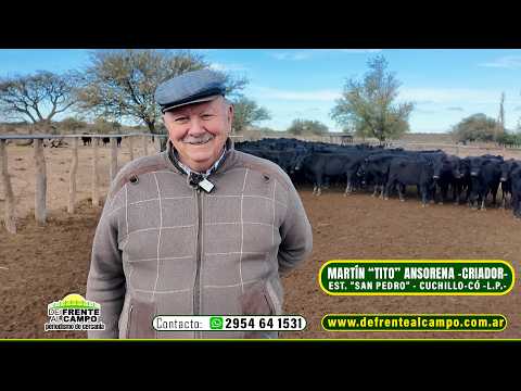 MARTÍN "TITO" ANSORENA- ESTANCIA SAN PEDRO - CUCHILLO-CÓ- .L.P.-
