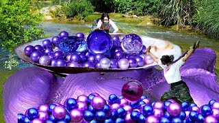 Download lagu 😱Open the purple giant clam, filled with precious purple pearls, so beautiful that it's intoxicating mp3 Download lagu 😱Open the purple giant clam, filled with precious purple pearls, so beautiful that it's intoxicating mp3