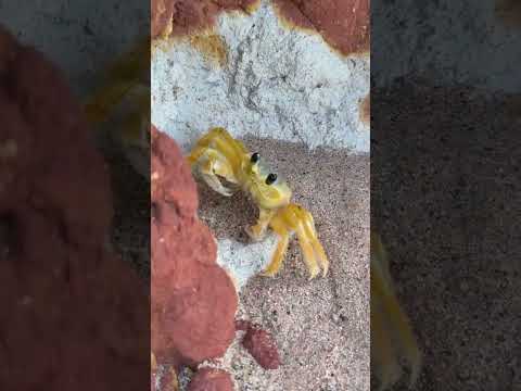 Praia do Retiro Grande, Icapui - CE