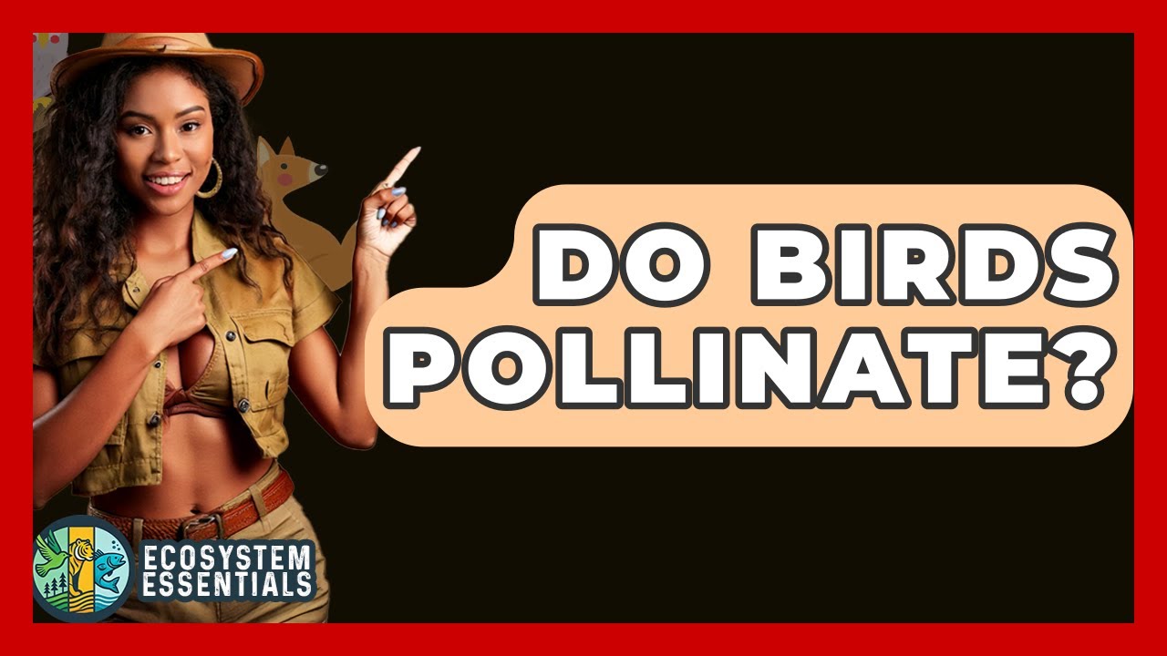 Do Birds Pollinate? - Ecosystem Essentials