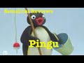 Semajical Reviews S2 14 Pingu 112