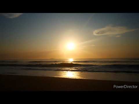 Kiss The Earth - Ajeet Kaur( tradução português)