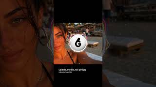 Nei laimės, nei meilės, nei pinigų (Lithuanian House Mix)  #lithuania #lithuanianhouse #chill