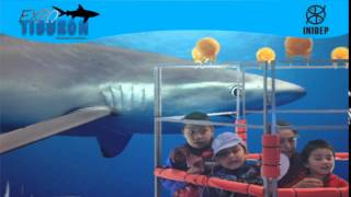 DIA 3 Expo Tiburon29